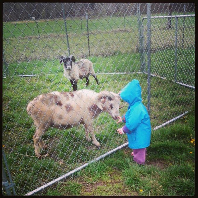 912406_10151961408832224_315915915_n (2)